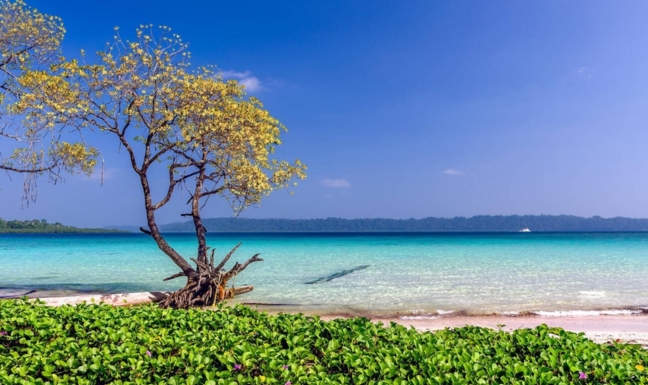 Andaman beach view 2