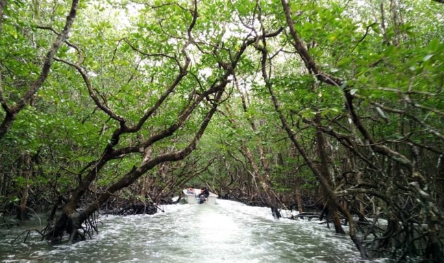 Andaman beach view 2